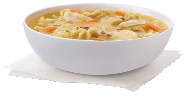 Bowl of Chicken Noodle Soup